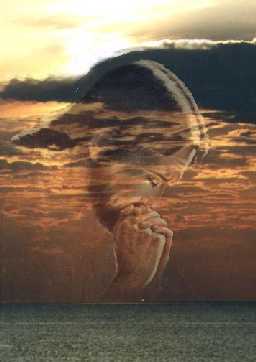 Le sort de l'humanit�